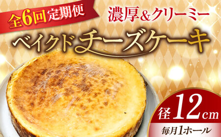 【全6回】ベイクドチーズケーキ4号 チーズケーキ[XBD025]