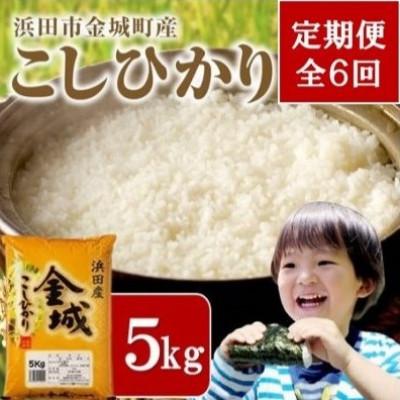 ふるさと納税 浜田市 【毎月定期便】浜田市金城町産こしひかり　5kg全6回