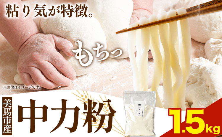 
                  中力粉 1.5kg 美馬市産 《30日以内に発送予定(土日祝除く)》実森ラボラトリー株式会社 自家製小麦のお店mimori 送料無料 徳島県 美馬市 お菓子 パン 小麦 麺
                