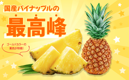 パイナップル ゴールドバレル 約6kg 4～8玉 パイン 果物 フルーツ 沖縄 西表島【TOK:iふぁーむ】配送不可：離島