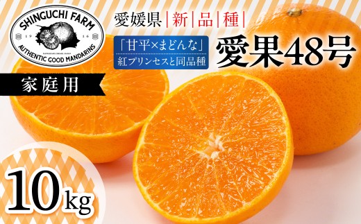 【先行受付】＜紅プリンセスと同品種＞「甘平×まどんな」愛果48号＜10kg＞＜家庭用＞＜H70-113＞【1683898】 YWTK112