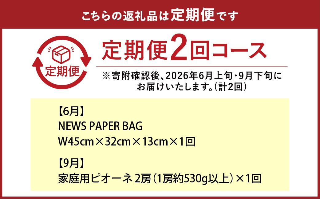 NEWS PAPER BAG（Hickory）＋家庭ピオーネ 2房（1房約530g以上）