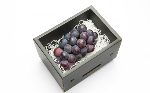 08-06-004　ぶどう(種なしピオーネ)600g