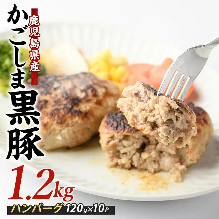 特製 黒豚 ハンバーグ 120g×10個 生 ハンバーグ 岡村商店 IB024-023