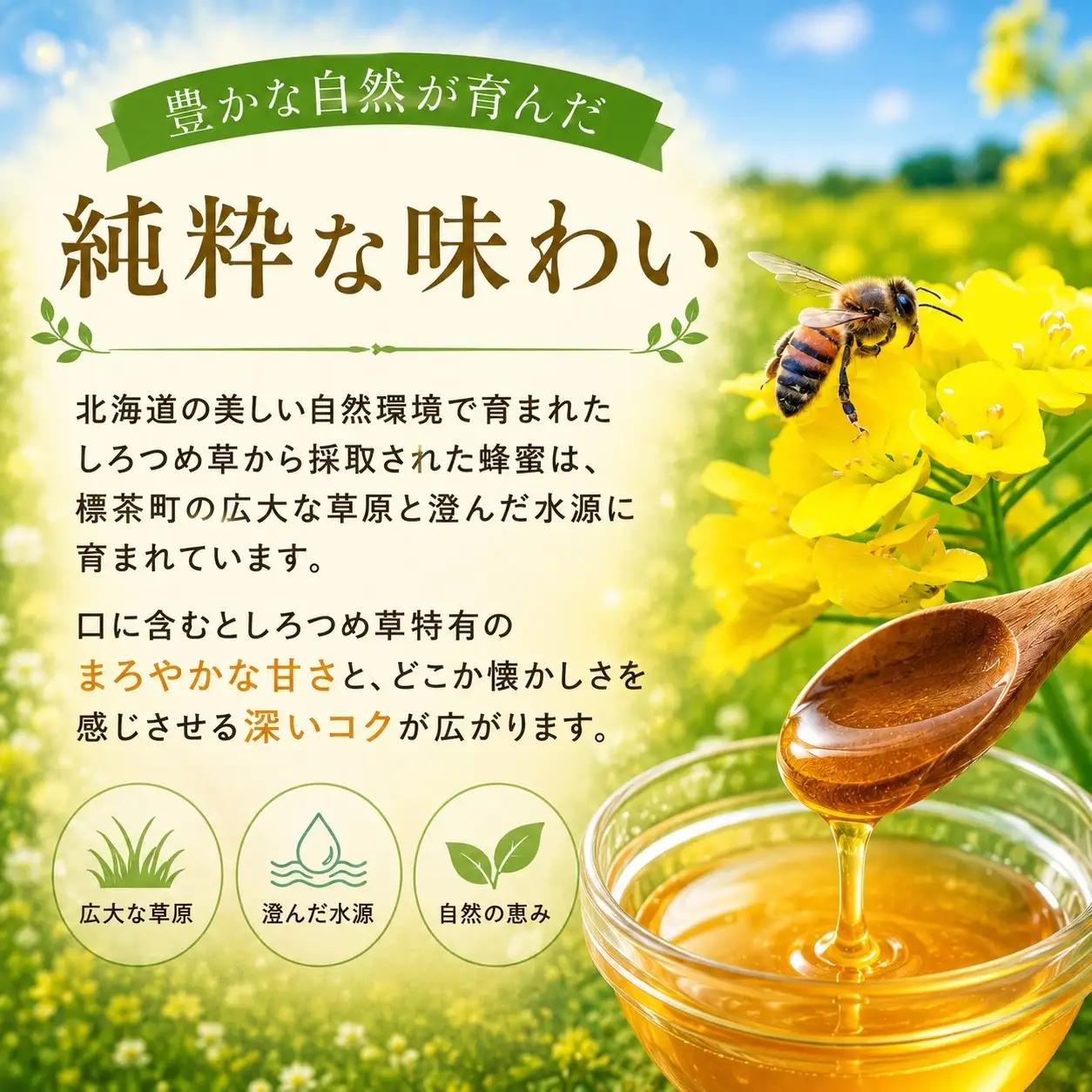 北海道標茶町産　しろつめ草の蜂蜜 （300g×2本）　|  はちみつ はちみつ