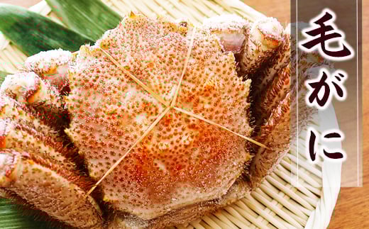 A-32045 毛がに約500～600g×1尾