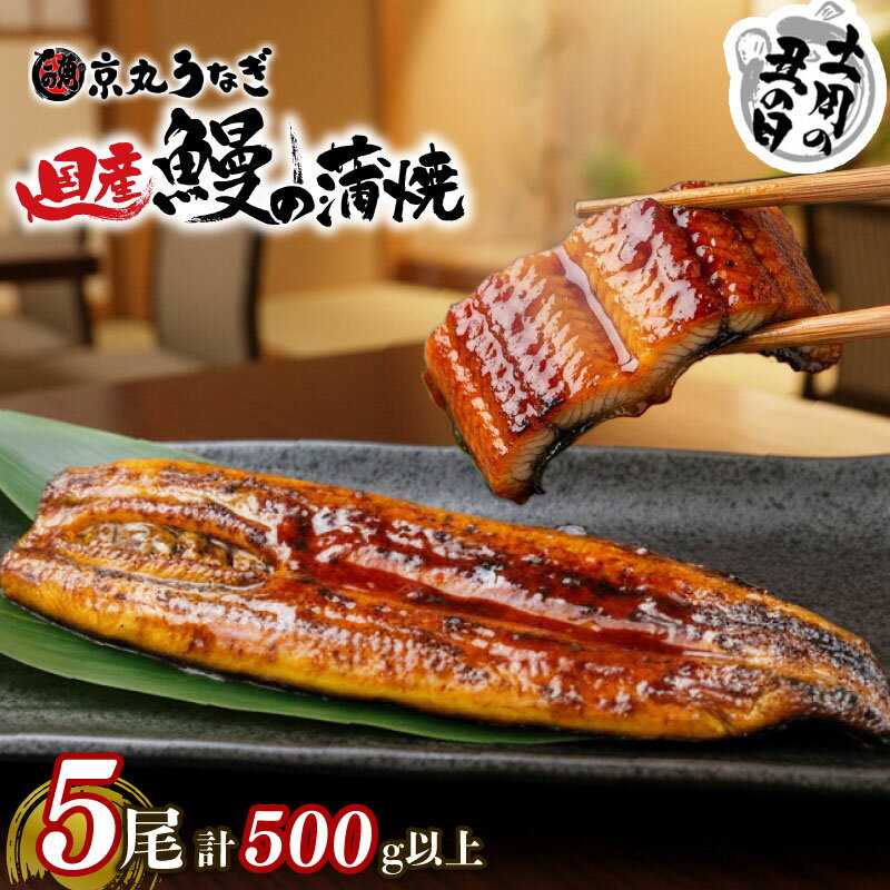 【ふるさと納税】 土用 丑の日 対応 うなぎ 国産 蒲焼き 5尾 計約500g以上 土用の丑の日 指定日 配送 静岡 うなぎ処京丸 鰻 ウナギ うな重 国産うなぎ 国産鰻 富士 愛鷹山の清水 冷凍 土用 丑の日 人気 個包装 ギフト プレゼント おいしい 贅沢 沼津市