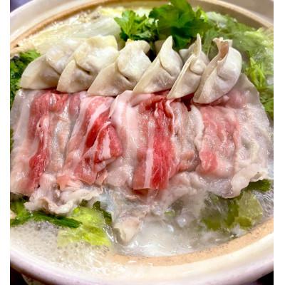 ふるさと納税 田原市 田原ぎょうざ 100個 |  | 01