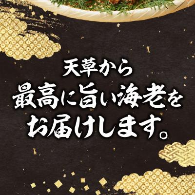 ふるさと納税 天草市 【指定日必須】【鮮度抜群】天草産・幸福堂の活き車えび『海老王』(560g)_S005-006 |  | 01
