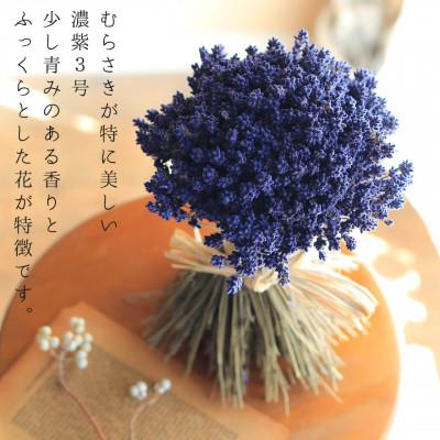 ふるさと納税 上富良野町 富良野ラベンダースタンドブーケ (濃紫3号)/ 上富良野産ラベンダー |  | 01