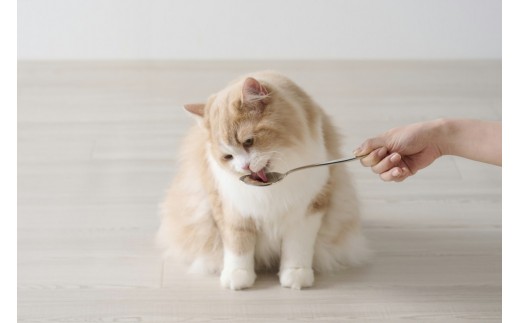 キャットフード 美食メニュー スープ まぐろ  P-40SM×12P