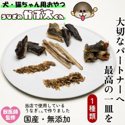 ふるさと納税 飯山市 【犬猫用おやつ】うなぎのかぶ太くん 《かみかみタイプ》獣医監修 ペットフード
