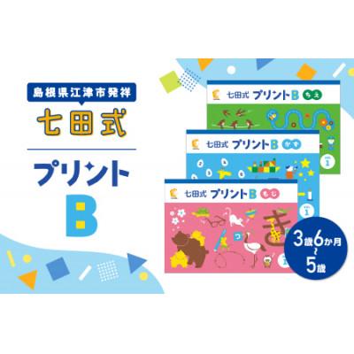ふるさと納税 江津市 ☆七田式教育の大定番☆　七田式プリントB
