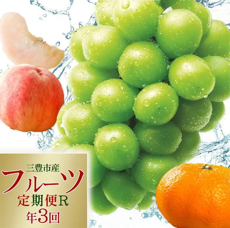 【ふるさと納税】フルーツ王国みとよの特選こだわり3品定期便