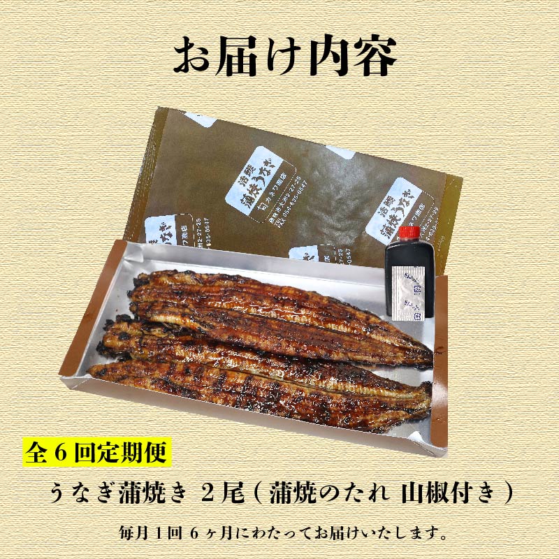 【全6回定期便】 うなぎ 蒲焼 大姿焼き 2尾 (140g×2) 定期便 鰻蒲焼 ウナギ かばやき 土用 丑の日 活鰻 自家製蒲焼 たれ 山椒 ギフト 贈答 冷蔵 まとめ買い 静岡県 藤枝 ふるさと人
