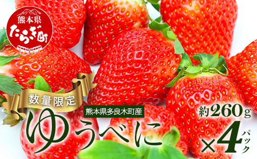 【先行予約】熊本県産 いちご【ゆうべに】約260g×4パック  2025年1月～発送 ≪ 苺 イチゴ 数量限定 坂下農園 イチゴ 1040g 苺 フルーツ 果物 春 名産 熊本 多良木町 ビタミン 旬 先行予約 ≫103-0002