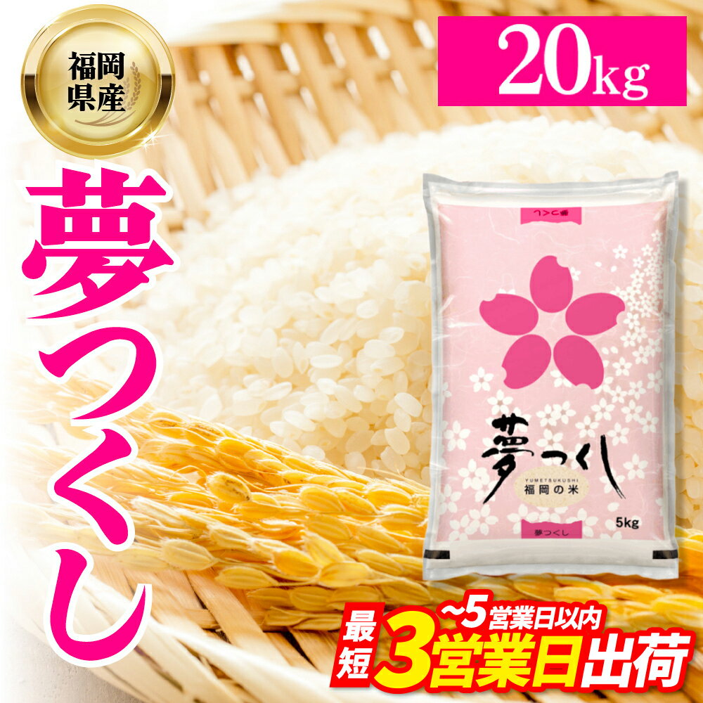 【ふるさと納税】 福岡県産 ブランド米 夢つくし(精米) 20kg お米 こめ ゆめつくし 米 福岡県 東峰村 　4J4