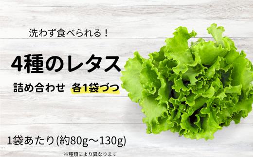 【農薬不使用】洗わず食べられる！レタス4種 ｜ 埼玉県 東松山市 農薬不使用 4種レタス  洗わずに食べられる 新鮮レタス オーガニック野菜 無農薬 野菜直送 フレッシュ サラダ用野菜 健康志向 こだわり フレッシュ 産地直送 食品ギフト セット 緑黄色野菜 送料無料 ふるさと納税 ダイエット 新鮮 安心野菜