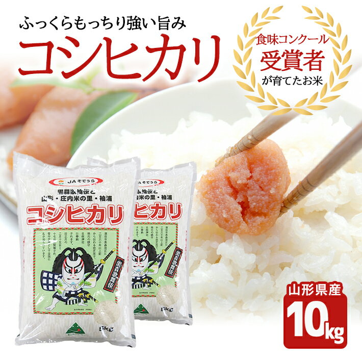 【ふるさと納税】コシヒカリ 10kg 5kg×2袋 令和7年産米 山形県産 ご希望時期頃お届け 東北 山形県 酒田市 庄内地方 庄内平野 米 お米 精米 白米 庄内米 こしひかり 農協 JA 産地直送 発送時期が選べる