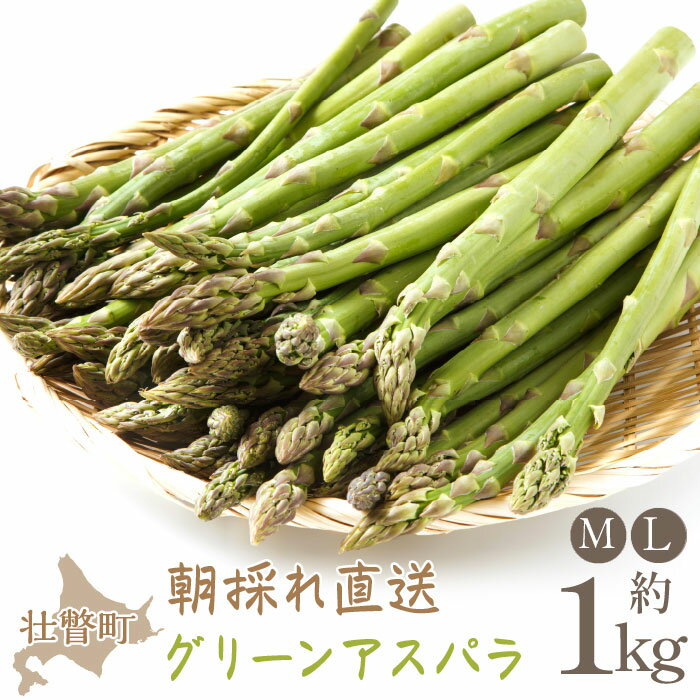 【ふるさと納税】＜2026年5月中・下旬よりお届け＞北海道壮瞥産「ファーム横山」朝採れ直送　グリーンアスパラ約1kg（M・L混合） ふるさと納税 人気 おすすめ ランキング アスパラ あすぱら 野菜 北海道 壮瞥町 送料無料 SBTM001