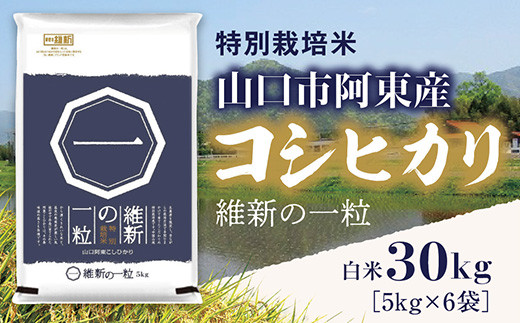 
            A097 維新の一粒5㎏×6袋（白米）
          