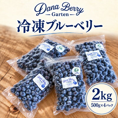 【ふるさと納税】標高1100m 中央アルプス山麓育ち 冷凍ブルーベリー2kg(500g×4袋)【配送不可地域：離島・沖縄県】【2001030】