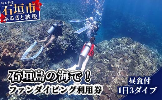 MP-2 石垣島の海でファンダイビング利用券１日３ダイブ