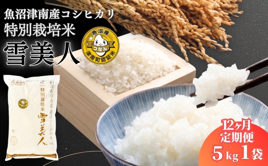 
                  【コシヒカリ 先行予約】【12ヶ月定期便】 5kg 令和8年産 魚沼産 コシヒカリ 雪美人 特別栽培米 | 米 こしひかり お米 新潟 魚沼 魚沼産コシヒカリ 魚沼産こしひかり こめ コメ おこめ 人気 白米 新潟県 津南町
                