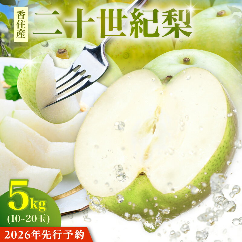 【ふるさと納税】《先行予約》 2026年産 TVで紹介 香住産 二十世紀梨 【約5kg】 1玉250g～500g 10～20玉 【令和8年8月下旬以降発送予定】 20世紀 梨 兵庫県 香美町 香住梨 糖度 計測 甘い フルーツ くだもの なし ナシ 果物 和梨 12-25 送料無料
