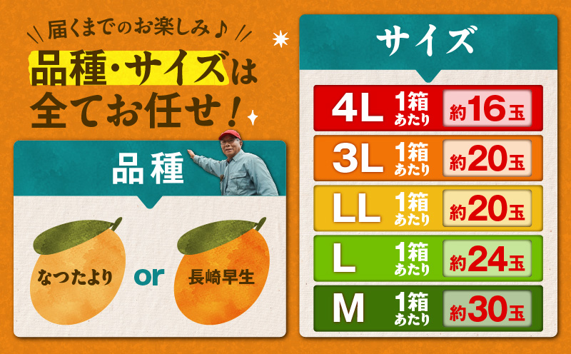 旬の朝採り！ 鹿児島 桜島産びわ 3箱（秀品）　K343-001_03