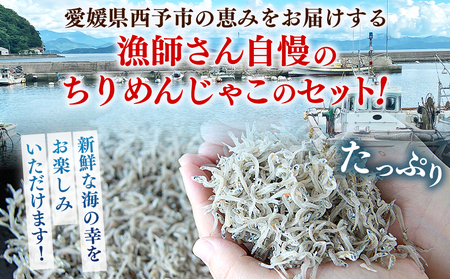＜漁師さん自慢のちりめんじゃこ 合計350g（70g×5パック）＞ しらす シラス おじゃこ お魚 おさかな 小魚 魚介類 乾燥 海の幸 海鮮 小分け 個包装 おすそ分け 国産 産地直送 送料無料 特