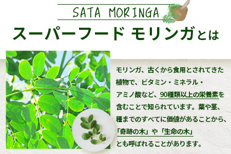 モリンガパウダー 75ｇ（25g×3袋）「本土最南端からのおくりもの」