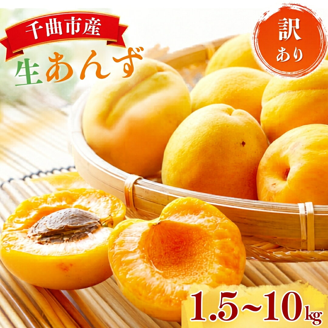 【2027年先行予約】【ふるさと納税】 加工用 (訳あり) 生あんず 1.5kg / 3kg / 5kg / 6kg (3kg×2) / 10kg (5kg×2) | 果物 フルーツ 杏子 アンズ アプリコット 千曲市 長野県 信州 長野県千曲市産