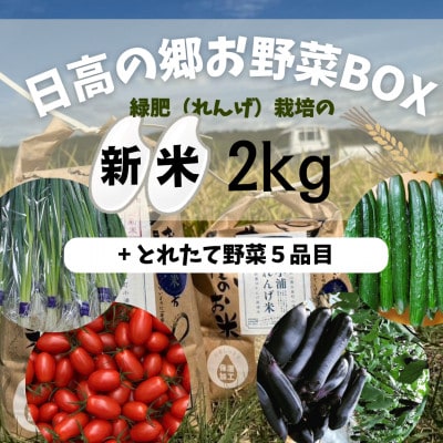 日高の郷 無洗米つきお野菜BOX(白米)【配送不可地域：離島】【1675578】