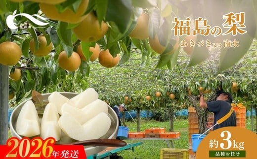 
            No.1766梨　品種おまかせ　(あきづき又は南水)約3kg【2026年発送　先行予約】
          