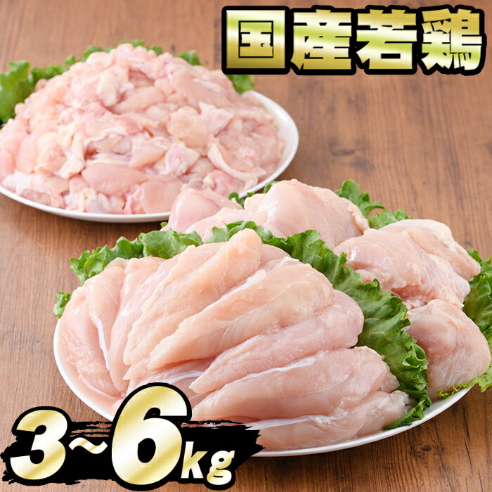 【ふるさと納税】《高評価★4.75獲得》＜容量と発送時期が選べる＞国産若鶏肉ヘルシーセット(合計3kg/6kg)(ムネ、ささみ、肩小肉) 国産 鶏肉 鳥肉 とり肉 若鳥 若鶏 むね肉 胸肉 ムネ ササミ 小分け カット済み 人気 発送時期が選べる 【エビス】【0074805a】【0124806a】