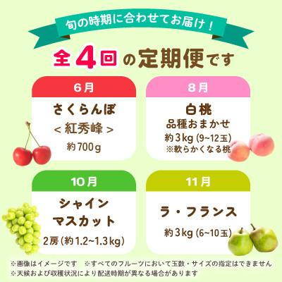 ふるさと納税 中山町 【発送月固定定期便】中山町の至高!秀逸季節のフルーツ定期便全4回 |  | 01