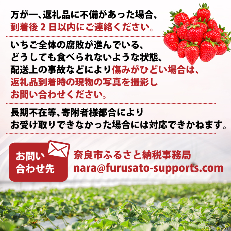 いちご 古都華 約500g 250g×2パック 冷蔵 いちご ことか 2027年発送 苺 フルーツ 果物 イチゴ 贈答 ギフト プレゼント 産地直送 奈良県 奈良市 6FARM