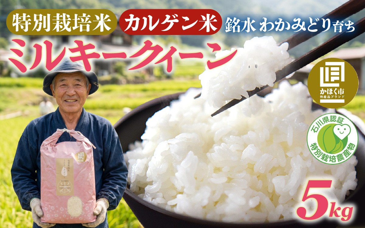 
                  【先行予約 令和8年産】【発送月が選べる】若緑産 特別栽培米「ミルキークィーン」 5kg 【2026年11月より順次発送】/ 令和8年産 新米 白米 精米 こめ コメ ご飯 ごはん おすすめ もちもち 食感 国産 5kg 送料無料
                