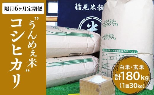 【玄米】【隔月6ヶ月定期便】栃木県上三川町産コシヒカリ 30kg  | 国産 栃木県産 コシヒカリ 米 お米 単一原料米 精米 白米 玄米 栃木米 とちぎ米 産地直送 ※2025年10月より順次発送予定