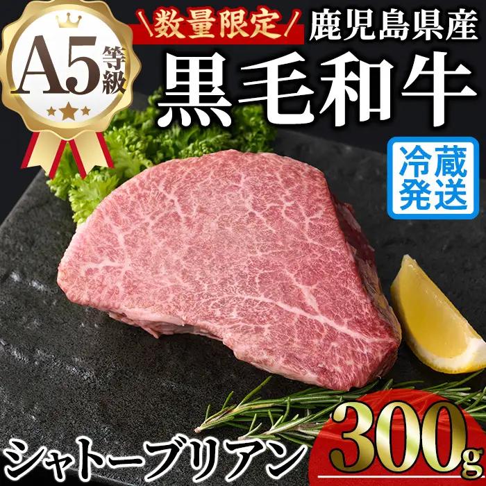 鹿児島県産 A5 黒毛和牛 極厚 シャトーブリアン (計300g・300g×1枚) 【KNOT】 D53