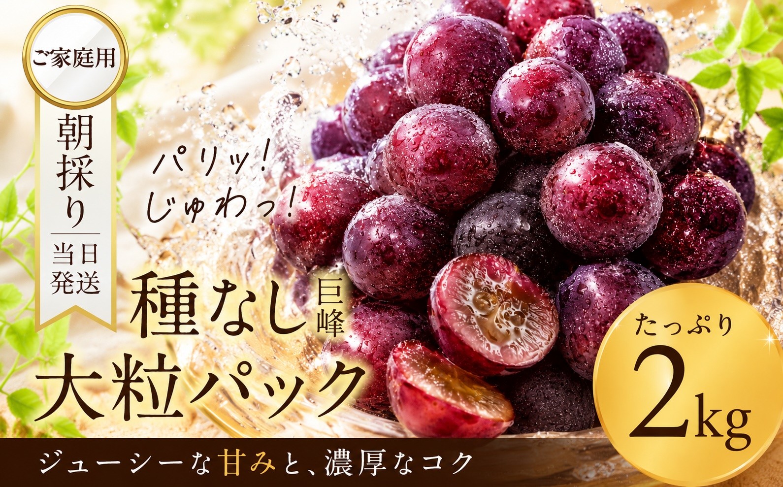 
                  《先行予約》 訳あり 種なし巨峰 粒 2kg 朝採り 当日発送 種なし 巨峰 粒  2kg ぶどう 大粒 訳あり 不揃い 果物 フルーツ ブランド 産地直送 生産者直送 農家直送 シャインマスカット 葡萄
                