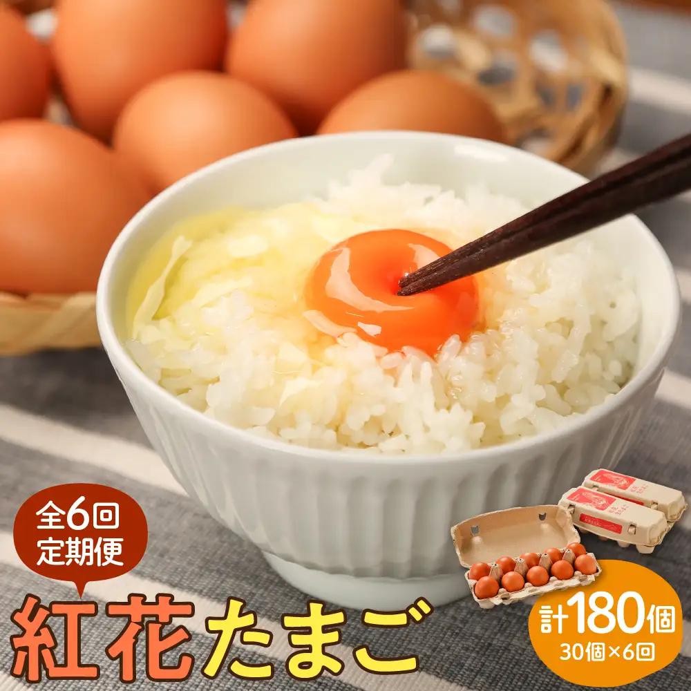 【定期便】 紅花たまご 30個 × 6ヶ月 計180個 卵
