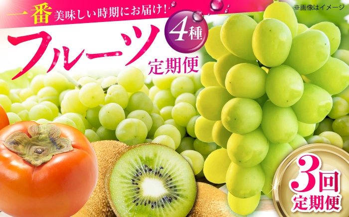 
                  【全3回定期便】 旬のフルーツ定期便 （ぶどう2種・柿・キウイ）【江北町ふるさと納税】 [HZY301]
                