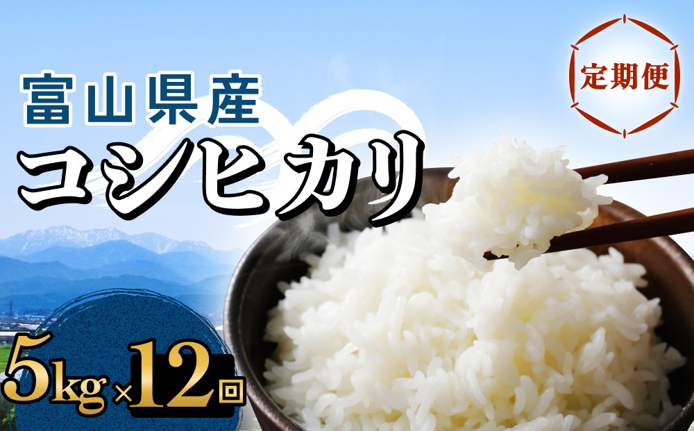 
                  【12回定期便】富山県産 コシヒカリ 5kg 
                