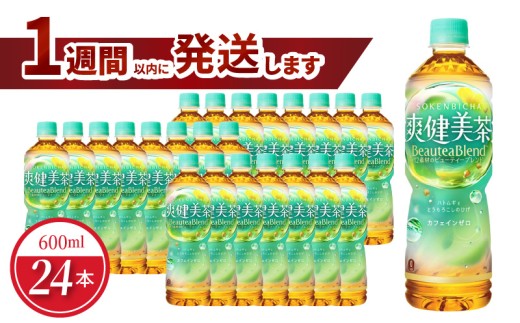 爽健美茶 PET 600ml（24本入） ノンカフェイン ペットボトル ドリンク お茶 ブレンド茶 コカ・コーラ 水分補給 リサイクル 人気 守山市 BB-0003