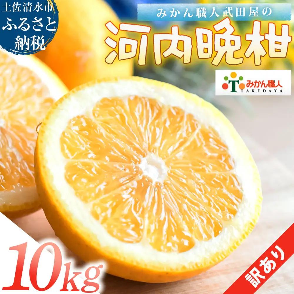 訳あり 河内晩柑 10kg みかん職人武田屋【R01617】