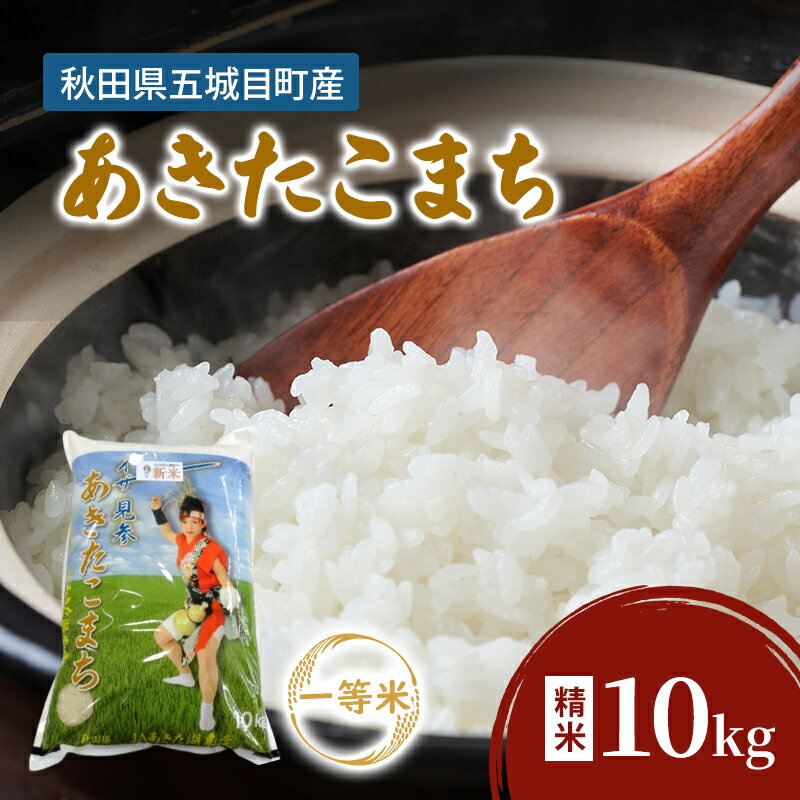 【ふるさと納税】五城目産 一等米 あきたこまち 10kg （精米） お米 お弁当 おにぎり 白米 秋田県産 【お届け：2026年10月下旬まで】 送料無料