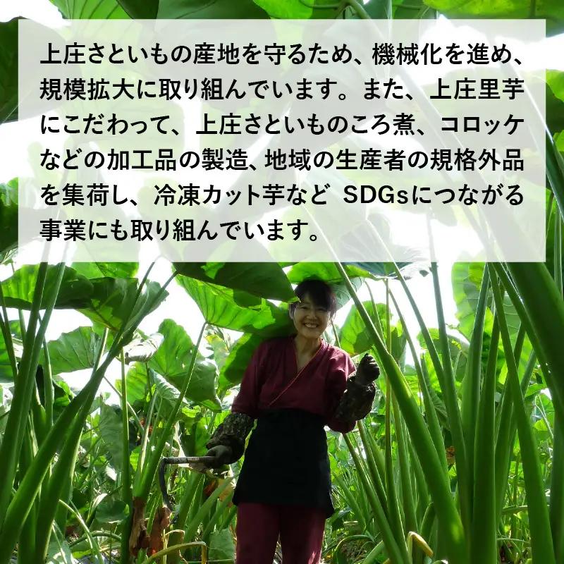 【先行予約】【満天☆青空レストランでご紹介】上田農園 上庄特産さといも 3kg【10月下旬から順次発送】年内発送