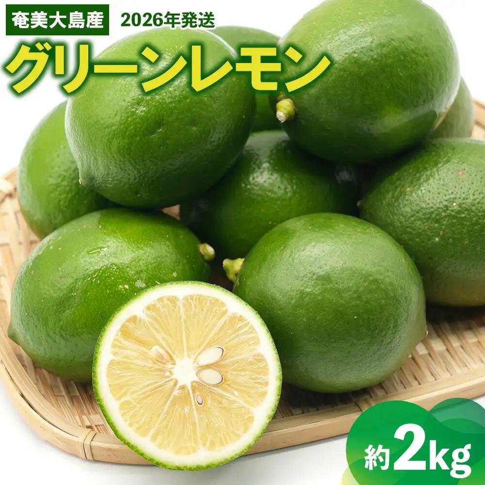 2026年発送【あたり果樹園】奄美大島産 グリーンレモン 約2kg 果物 フルーツ